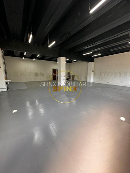 Spatiu depozitare | Productie | Theodor Pallady - 2