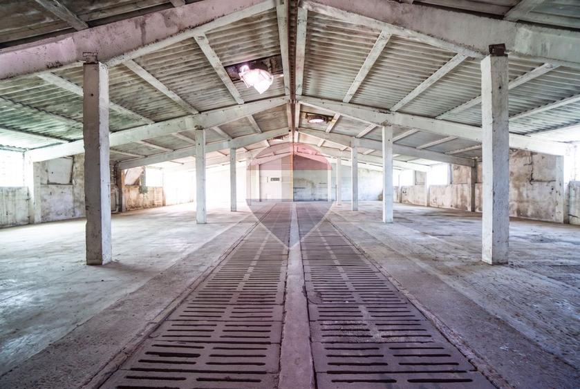 Spațiu industrial de vânzare- Hala - Comision % - Prejmer