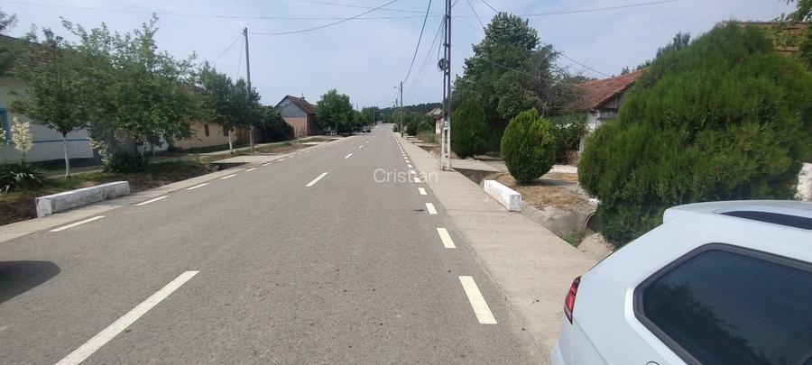 Cavanzare Copacele cu teren 1530 m și o livada - 4