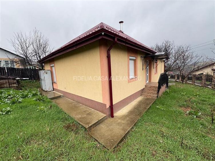Casa de vanzare, la 2 km de Primaria Tomesti - 14