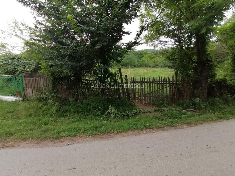 Curte 1512/3025mp , Bughea de Jos, 5 min Valeni PH - 19