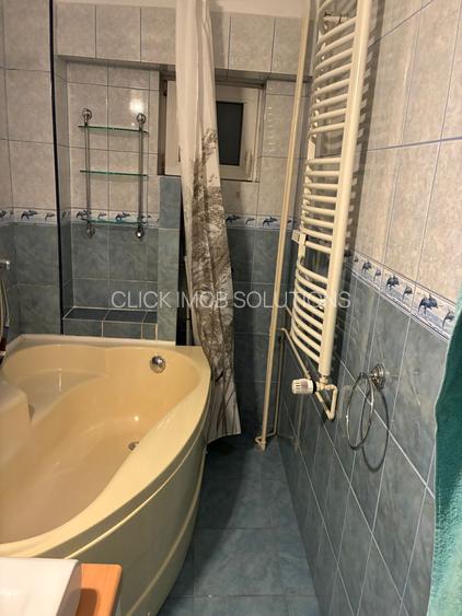 Decebal -Rond Alba Iulia -contract ANAF-pet friedly - 16