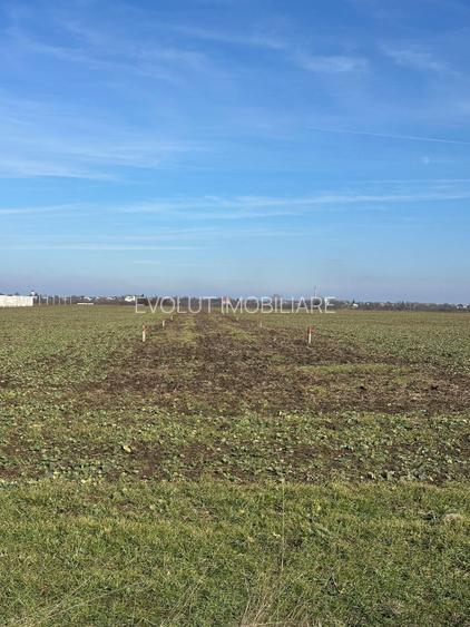 LOTURI TEREN INTRAVILAN – DOMNEȘTI - 4