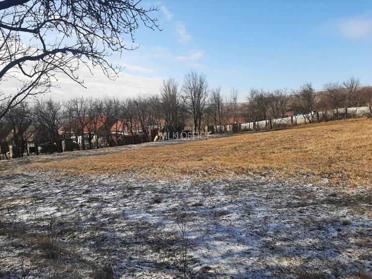 Teren de vanzare in Rediu - 3