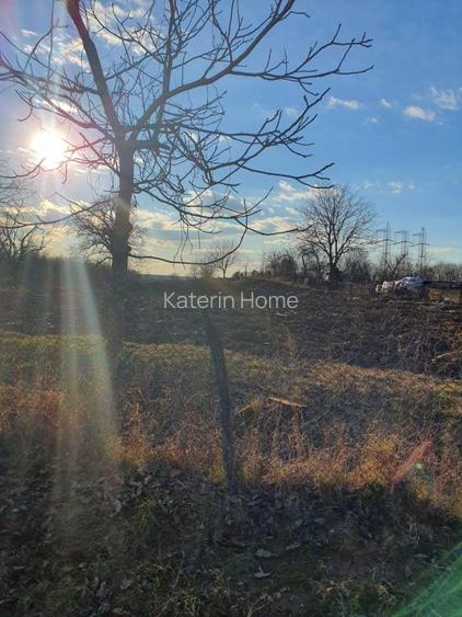 Teren Cocorastii Colt-Jud. Prahova - 3