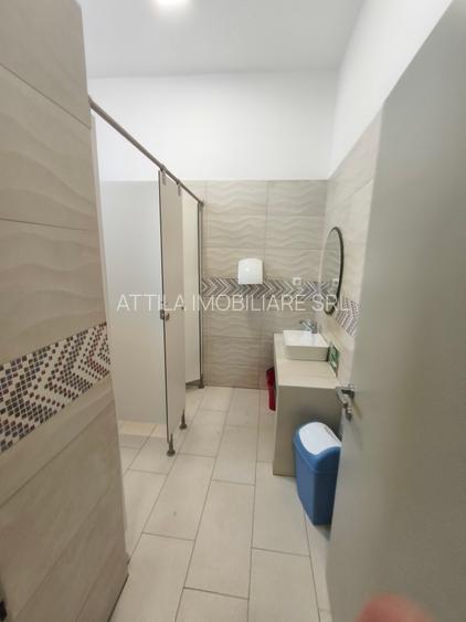 Lipovei birou 40 mp 400 euro - 6