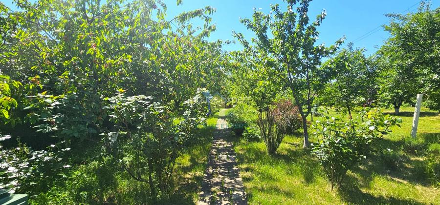RARA AVIS! Teren 1550 mp, deschidere 31 m, zona Ferme, Otopeni - 7