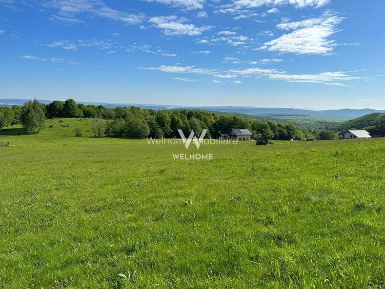 Teren Intravilan in Tocile-priveliste deosebita - Sadu - Sibiu - 3