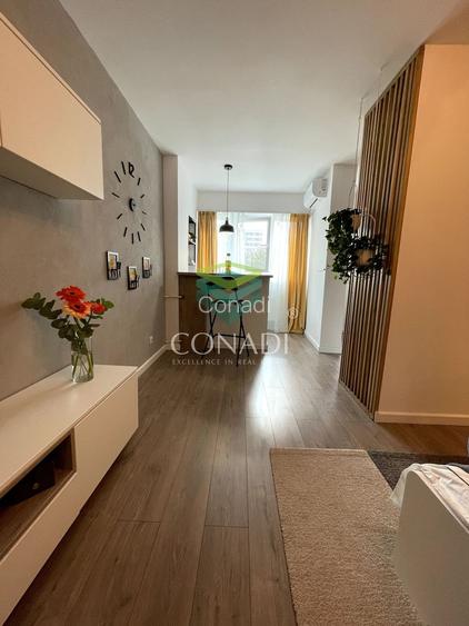 Garsoniera renovata modern str Nada Florilor - Teiul Domnei - 112