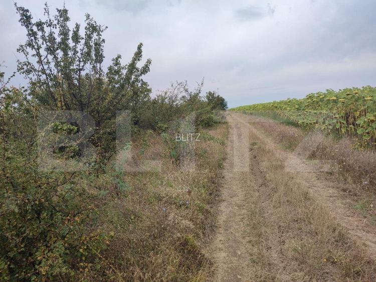 Teren 6291 mp, extravilan, zona Leamna de jos  - 3