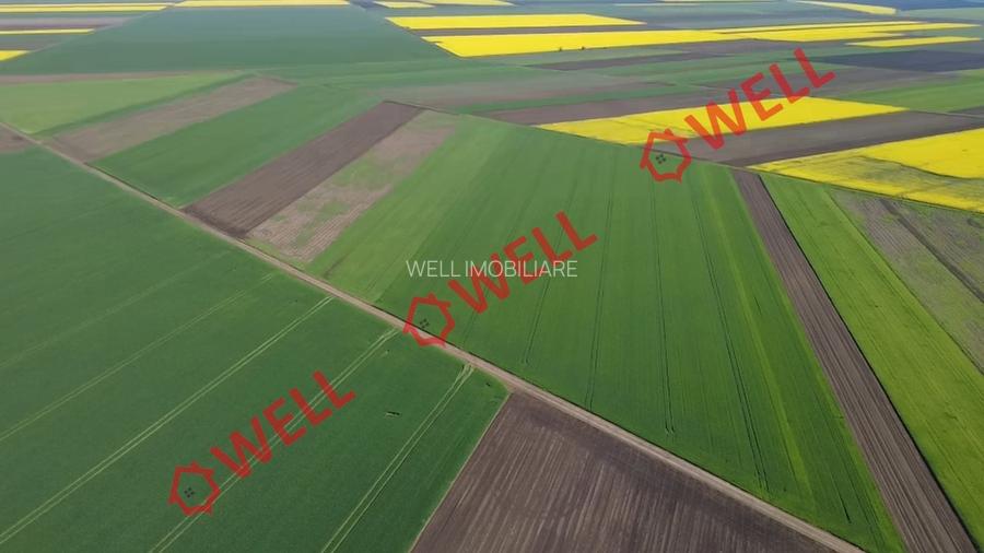 5 terenuri agricole de vânzare în Sântionlunca! - 3