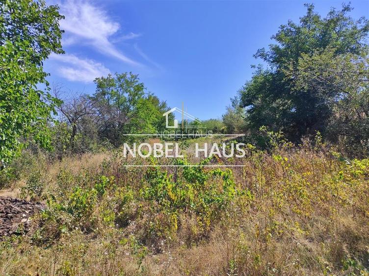 Teren 6200 mp, intravilan, sat Bogesti, comuna Pogana - 4