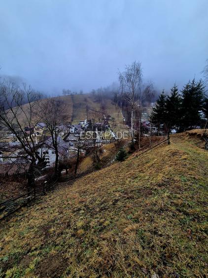 Teren intravilan Simon/Bran, 4318 mp , casuta intabulata, utilitati - 30