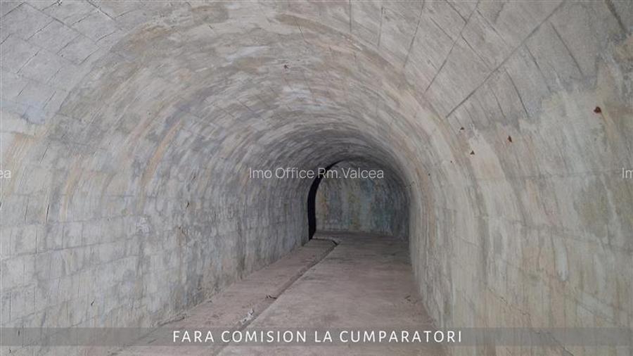 OPORTUNITATE UNICA IN DOMENIUL VITICOL - 10