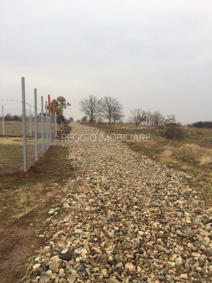 Teren Construcții intravilan de 15500 mp, în Cetate - 4
