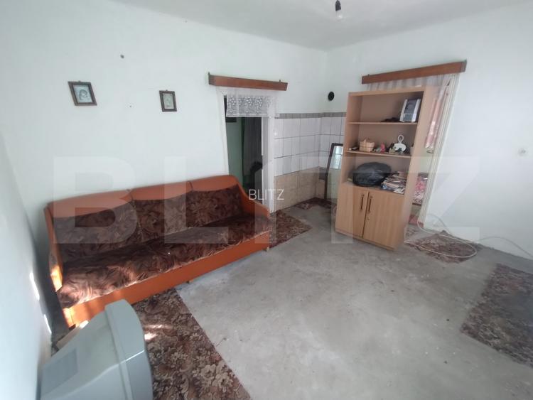 Casa 3 camere 70mp, teren intravilan 16,5 ari + 93 ari extravilan, sat Caila - 10