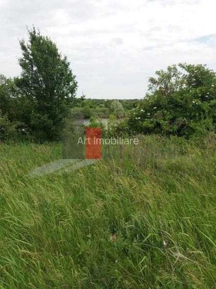 Teren Buftea cu iesire la lac - 25