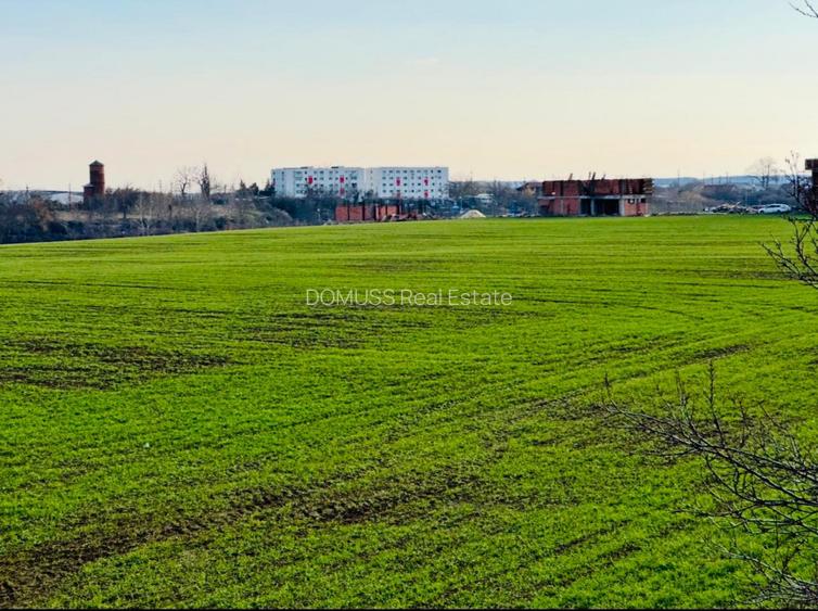 TEREN INTRAVILAN | BALOTESTI | DESCHIDERE 40 M LA LAC | 9.919 MP | LAHOVARI | - 4