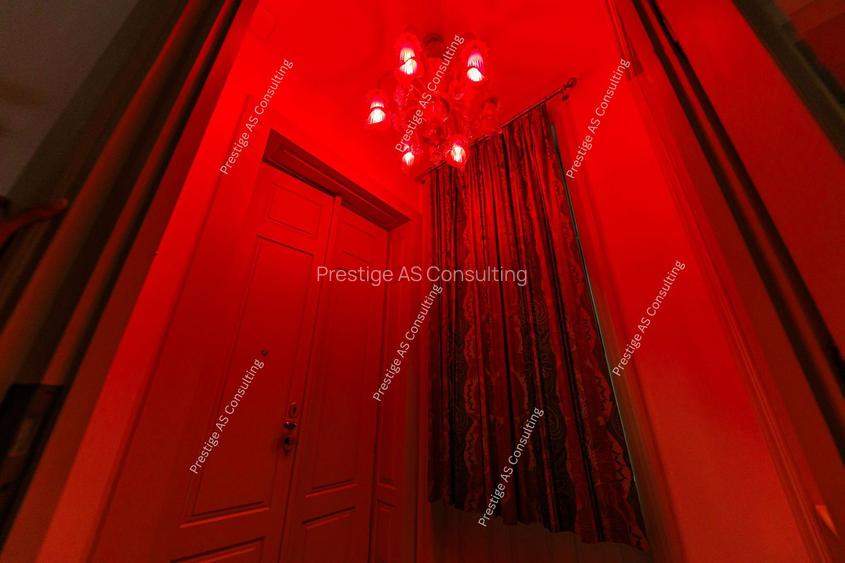 Resedinta patrimoniala de 222 mp | Piata Victoriei | Cladire istorica-Lift - 13