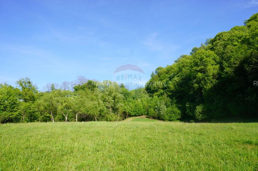 Teren 33,137mp Sighetu Marmatiei / Strada Mocanitei - 10