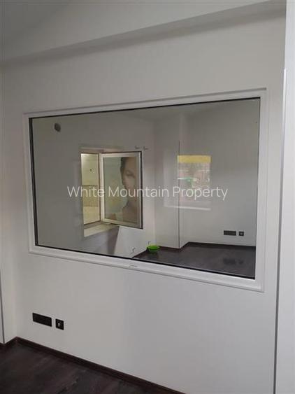 Spatiu comercial 300 mp, inchiriere/vanzare, Eminescu - 11