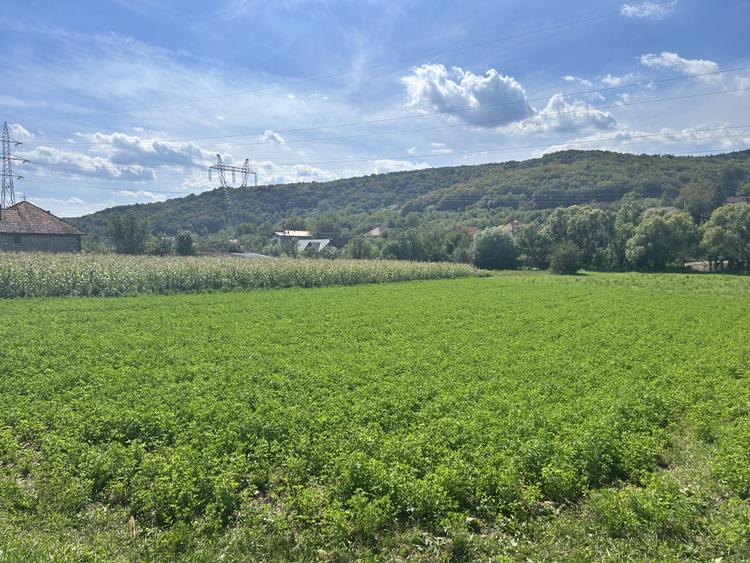 Teren intravilan 2.000 mp front 36ml Popesti Vale