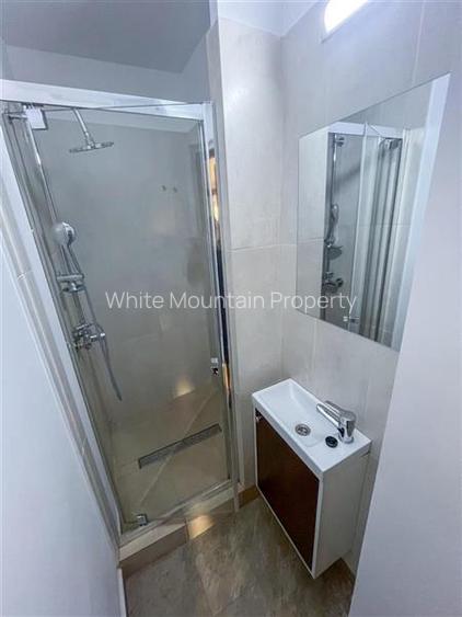 Apartament 3 camere de inchiriat, ultracentral, Piata Romana - 11