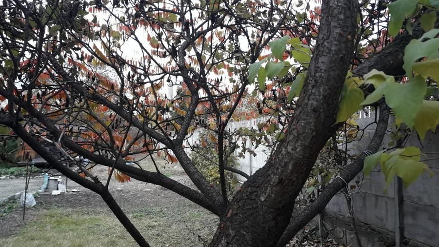 1200  mp, teren zona B-dul Republicii -construire in regim  de inaltime S+P+2E+M - 3