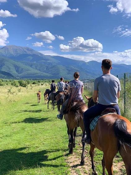 Teren intravilan 2500mp  pe Valea Avrigului,optim casa de vacanta - 6