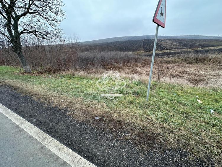 Teren 13.780 mp, Apahida, Cluj - Ideal pentru Investiție - 8