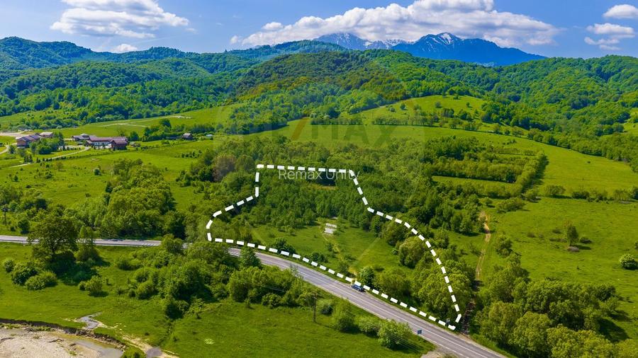 Teren 1ha Valea Glăjeriei - Rasnov | Comision 0% - 5