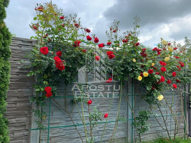 Casa individuala, curte proprie, garaj, in Giroc - 28