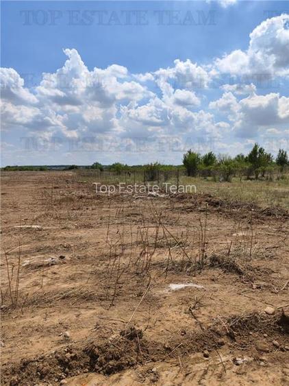 Teren intravilan de vanzare 28.200 mp Bucuresti Sector 6 - 3