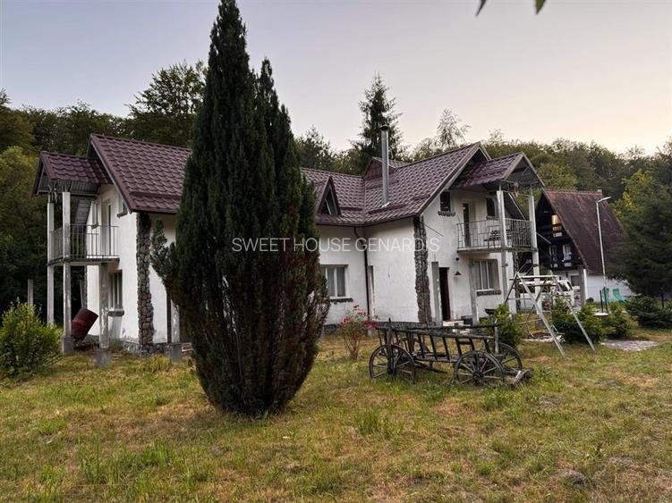 Oportunitate de investitie Cabana Cartisoara Zona Turistica - 44