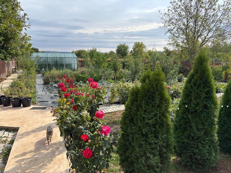 vand casa jud. Prahova  - 7