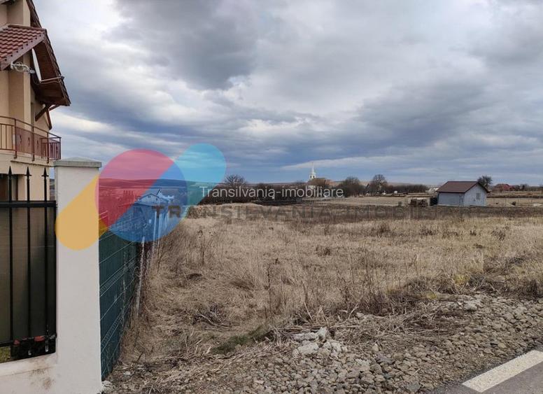 Teren intavilan construibil 4000mp in Tureni - 4