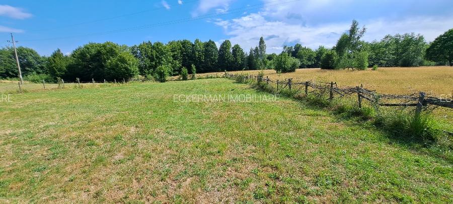 Bughea de Jos-Imparatia Mlacilor, teren de vanzare, 3000 mp, 27 ml deschidere - 3