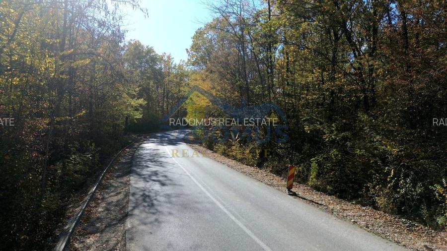 TEREN INTRAVILAN ÎN PĂDURE LA VĂRBILA - PRAHOVA – COMISION 0% - 6