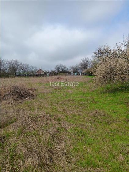 Aroneanu - Dorobant TEREN 46000mp PUZ realizat 59 de case la str principala cu t - 7