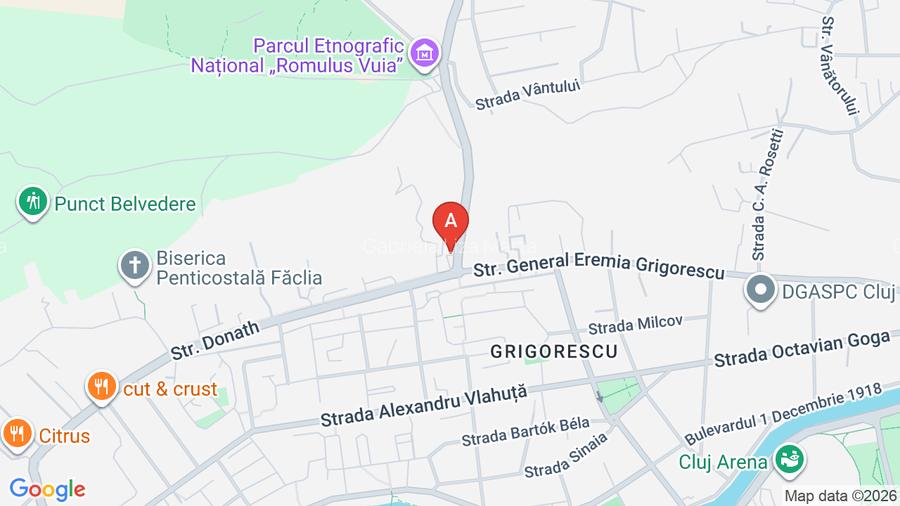 Spatiu comercial finisat cu terasa Grigorescu Cluj - 7