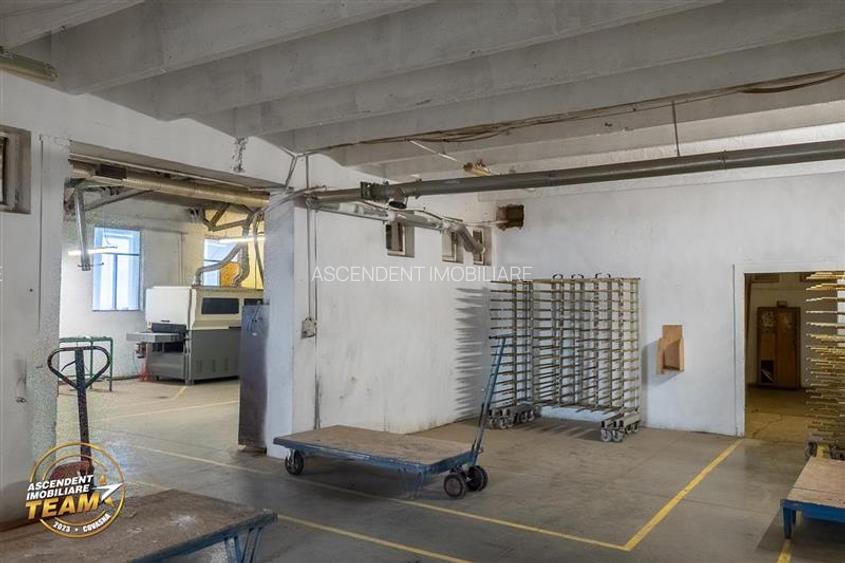 Complex industrial modern, acces dublu, potential apreciabil, Valea Crisului, Sf - 27
