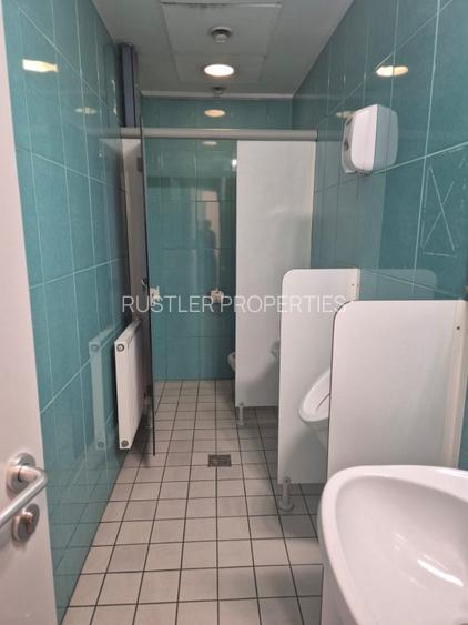Cascade Offices – Birouri de inchiriat Piata Victoriei, Buzesti - 17