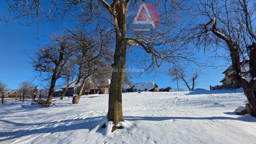 Oportunitate Unică! Teren în Moieciu de Jos – Natură Pură, Pârâu și Potential - 2