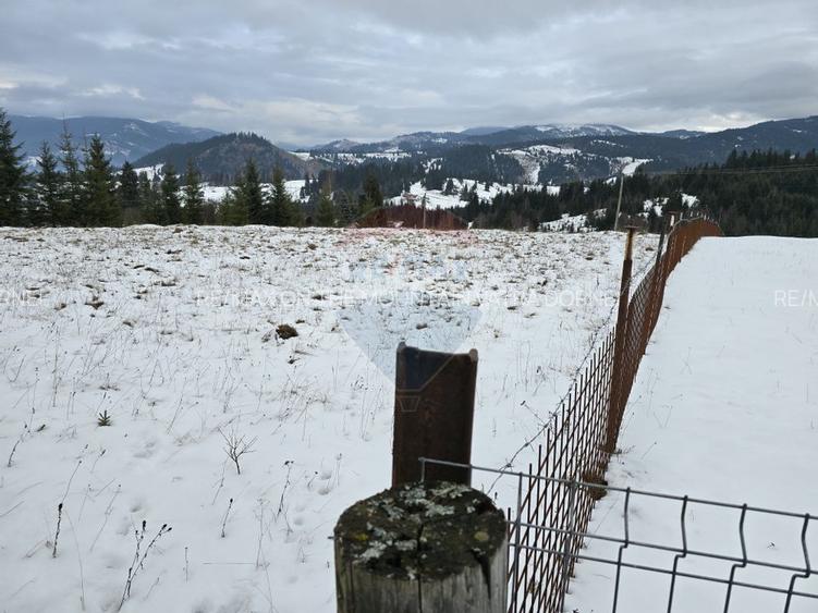 Teren 3,868mp Dorna-Arini / Strada Principala - 2