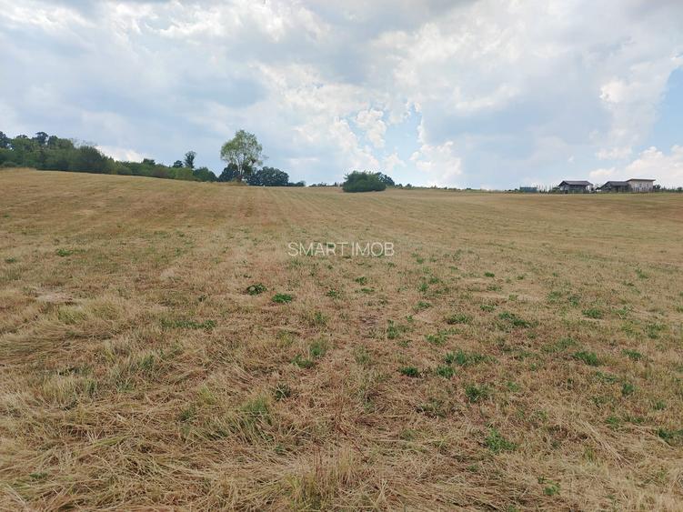 2 Parcele de teren extravilan zona Bradet Pret 3000eur/ar neg usor - 4