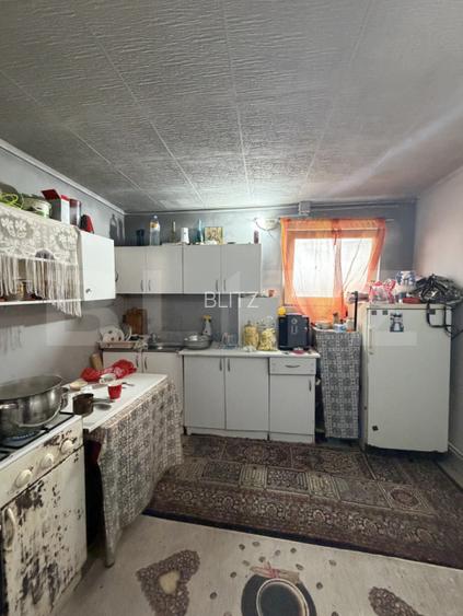 Teren intravilan agricol, sere, anexa agricola, 11500 mp teren, Sopot - 7