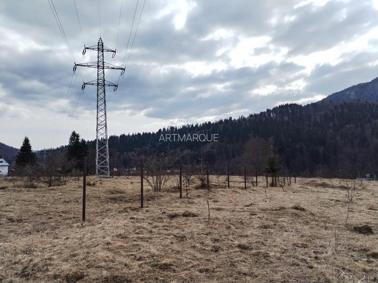 Teren intravilan cartier Cumpatu - 4