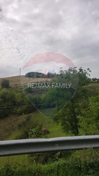 Teren intravilan constructii 3082 mp Damis Bratca drum DJ 764D - 19