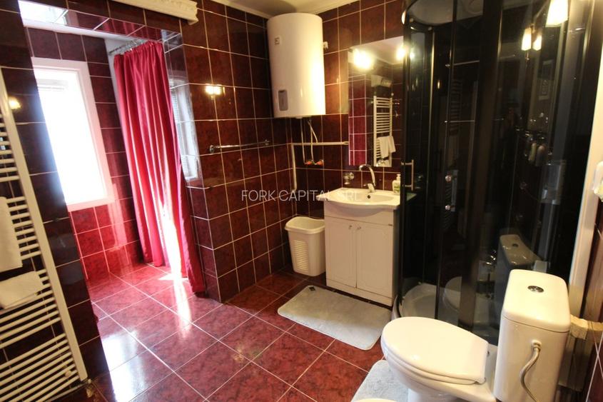 Ciolpani casa singur curte cu vegetatie superba. 37 minute de Bucuresti - 24