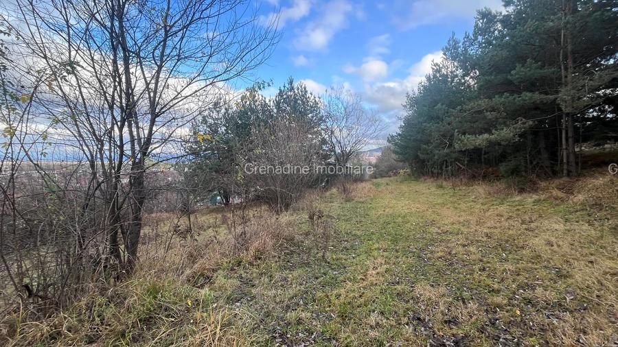 Teren Intravilan 495 mp – Zonă Liniștită Strada Livezii - 2